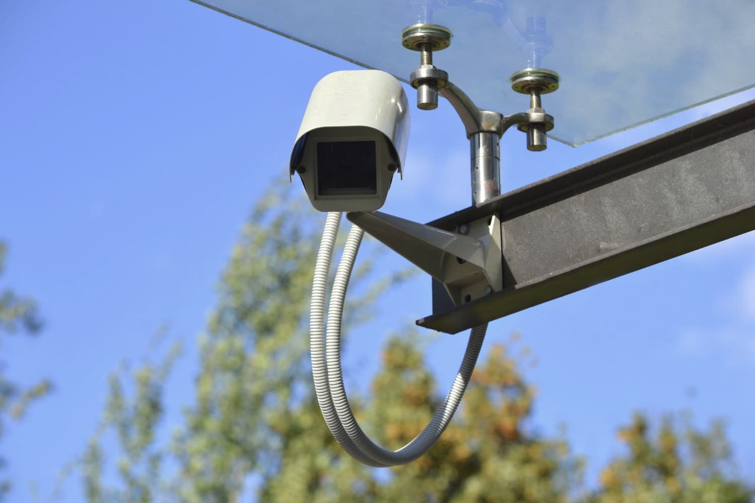 CCTV IP Cam Streaming